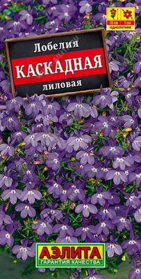 Лобелия каскадная лиловая
