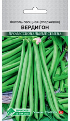 Фасоль спаржевая Вердигон